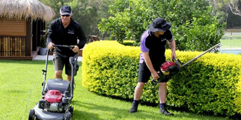 Lawn Mowing in Papakura